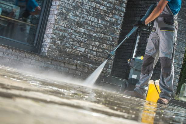 Best Graffiti Removal  in Portsmouth, VA