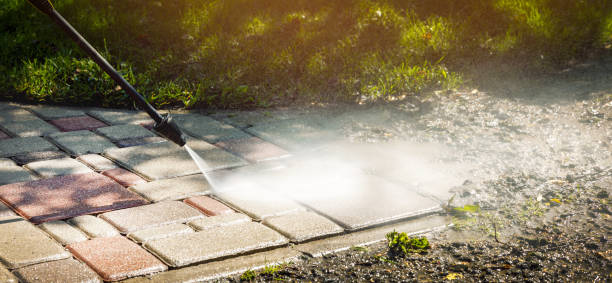 Best Soft Washing  in Portsmouth, VA