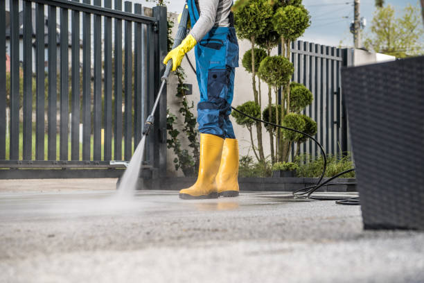 Best Sidewalk and Walkway Cleaning  in Portsmouth, VA